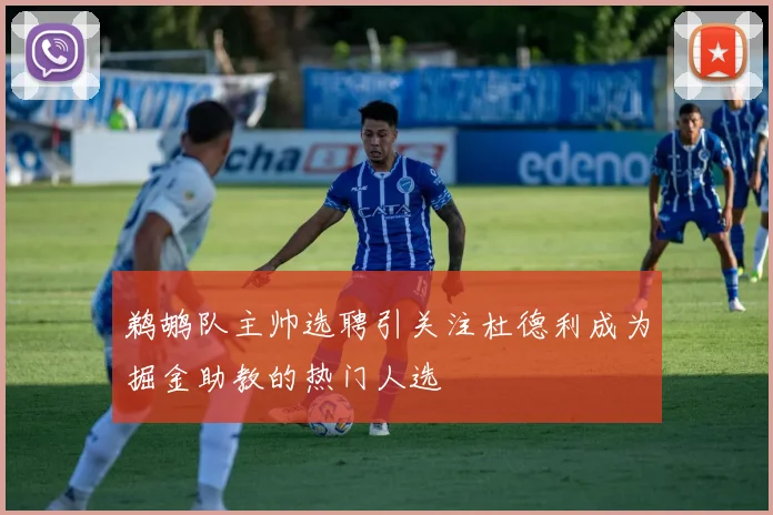 鹈鹕队主帅选聘引关注杜德利成为掘金助教的热门人选
